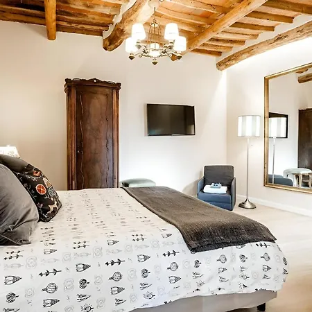 Cortile In Centro - Charm Heart Of Apartment Lucca